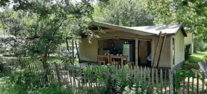 eco lodge 4 etoiles cotton prenium